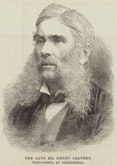 Afdøde hr. Henry Calvert, vicekonsul i Alexandria (gravering) af English School