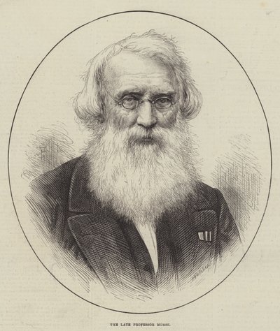 Den afdøde professor Morse (gravering) af English School
