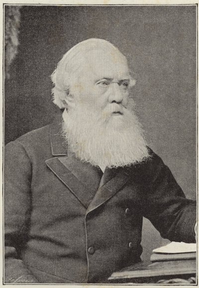 Den afdøde højre ærede Sir Austen Henry Layard af English School