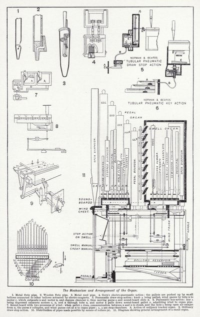 Organets mekanisme og arrangement (litho) af English School