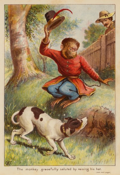 Aben hilste yndefuldt ved at løfte sin hat (farvelitografi) af English School