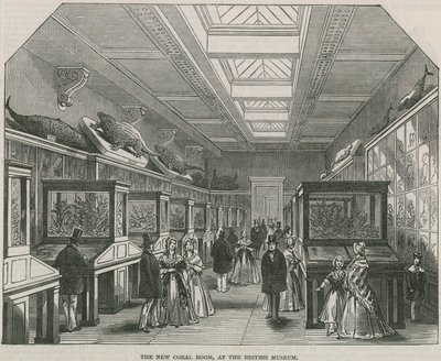 Det nye Coral Room på British Museum af English School