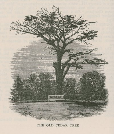 Det gamle cedertræ, Holland House af English School