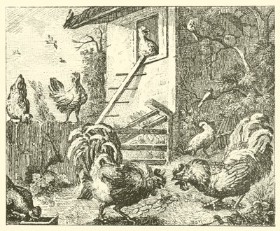 Agerhønen og hanerne (kobberstik) af English School