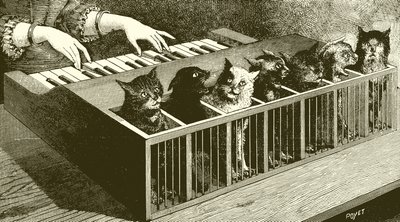Kattenes klaver af English School