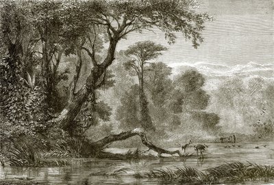 Floden Phasis af English School