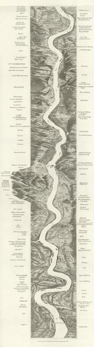 Rhinen af English School