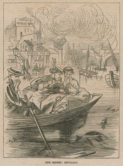 Sanserne: lugte af English School