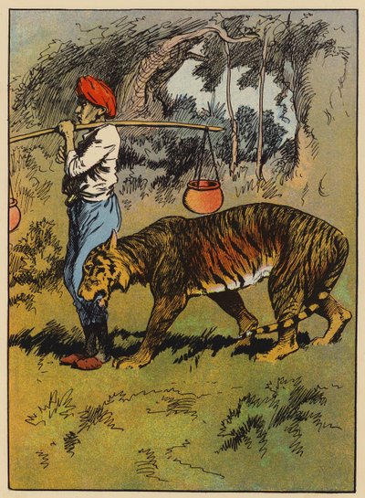 Tigeren gnider sig mod mandens ben (farve litho) af English School