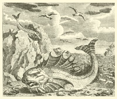 Tunfisken og delfinen (gravering) af English School