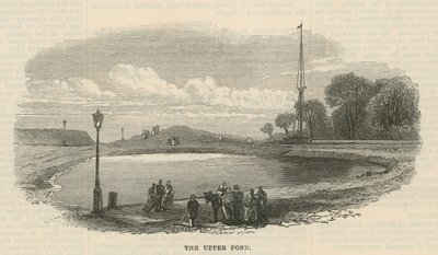Den øverste dam, Hampstead Heath af English School