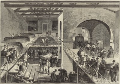 Årgang af Medoc af English School