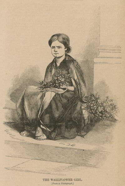 Das Mädchen mit den Goldlackblumen von English School