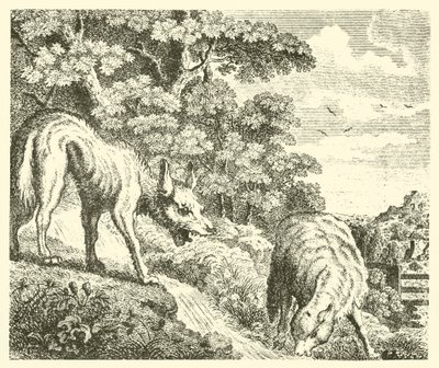 Ulven og lammet (gravering) af English School