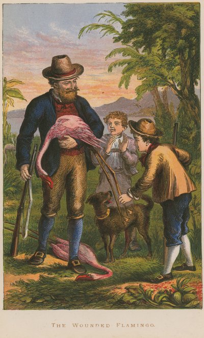 Den sårede flamingo af English School