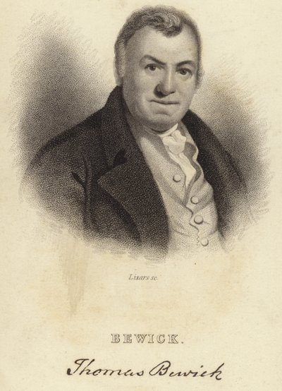 Thomas Bewick af English School