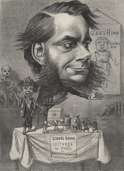Thomas Henry Huxley, engelsk biolog af English School