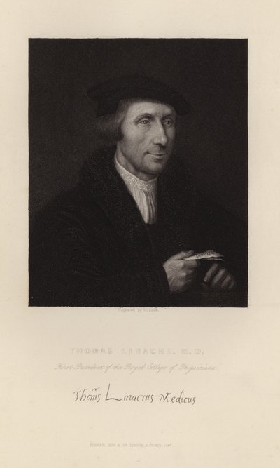 Thomas Linacre af English School