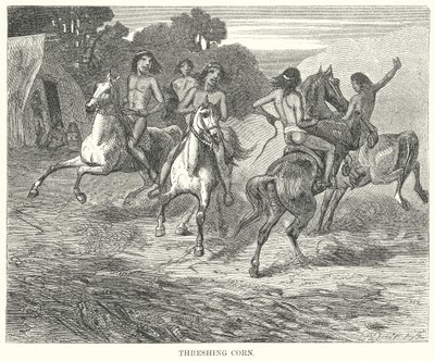 Dreschen von Mais (Gravur) von English School