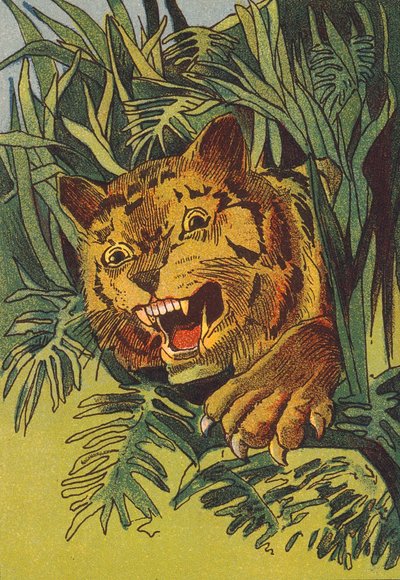 Tiger, Indien (farvelitografi) af English School