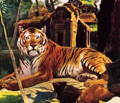 Tiger i ruinerne af English School