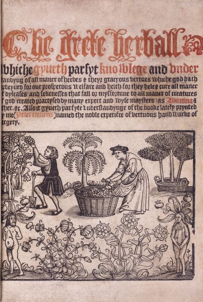 Titelside, der illustrerer en havescene med figurer, 1529 af English School