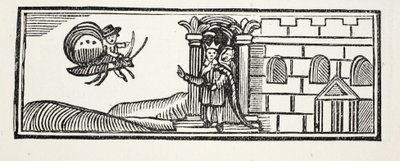 Tom gemte sig og forsøgte at flygte på ryggen af en sommerfugl, illustration fra Chap-books of the Eighteenth Century af John Ashton, pub. 1882 af English School