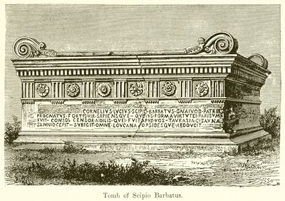Scipio Barbatus