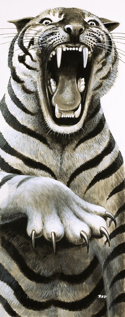 Tænder og kløer af English School