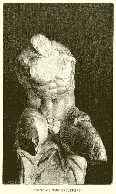Torso af Belvedere af English School