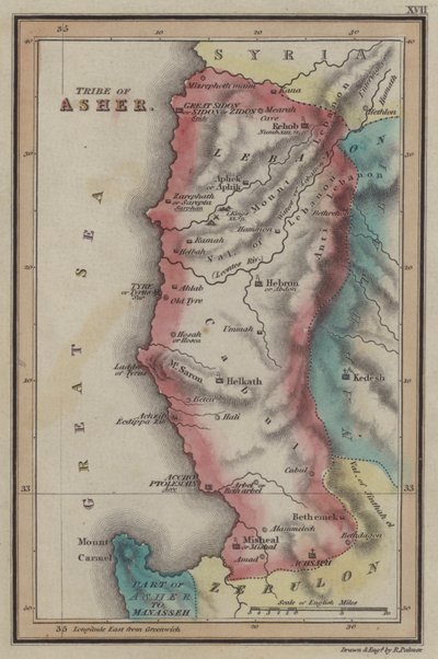 Stamme af Asher (farvet gravering) af English School