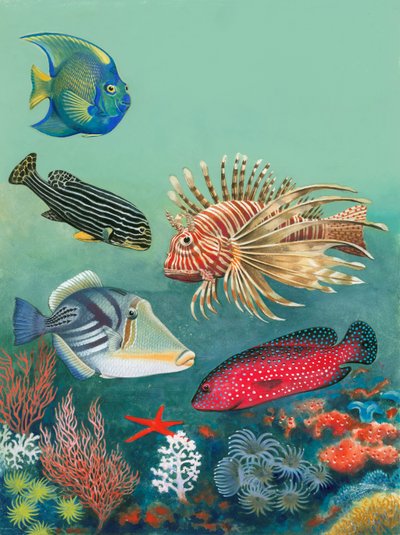 Tropisk fisk af English School