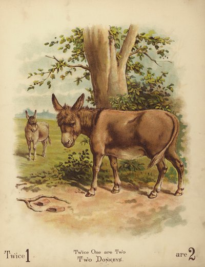 Zwei Esel (Chromolithografie) von English School