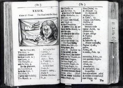 To sider fra Orbis Sensual Pictus af Comenius, 1659 af English School