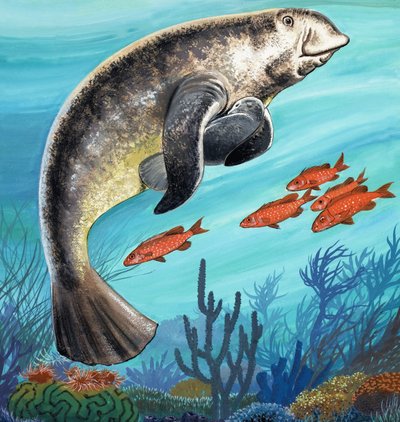 Undersøiske skabninger af English School