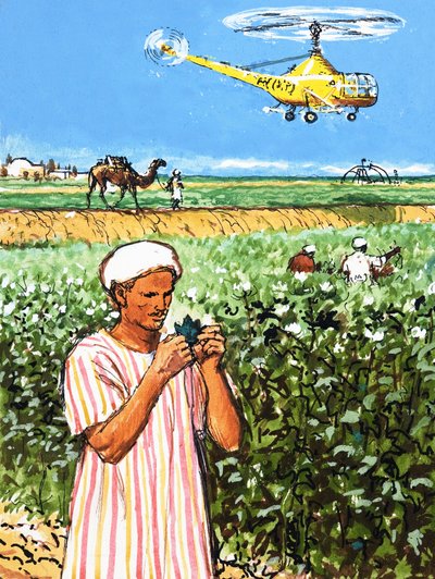 Uidentificeret arabisk landmand med kamel og helikopter i baggrunden af English School