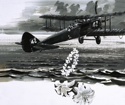 Uidentificeret biplan taber en krans af English School