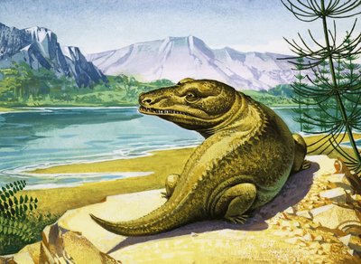 Uidentificeret krokodille-lignende dinosaur af English School