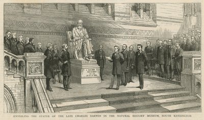 Afsløring af statuen af afdøde Charles Darwin i Natural History Museum, South Kensington af English School
