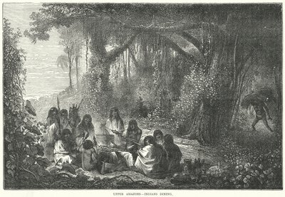 Øvre amazoner - indianere, der spiser (stik) af English School