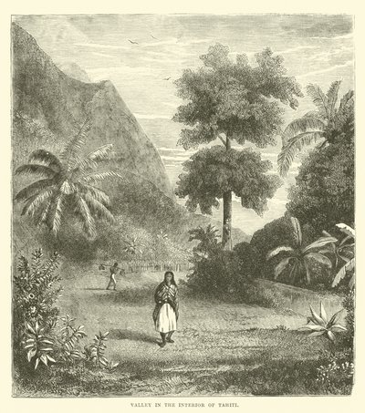 Dal i det indre af Tahiti af English School