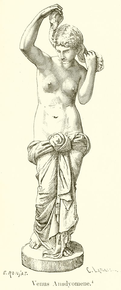 Venus Anadyomene af English School