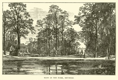 Udsigt i parken, Bruxelles af English School