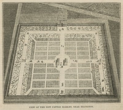 Ansicht des neuen Viehmarktes bei Islington von English School