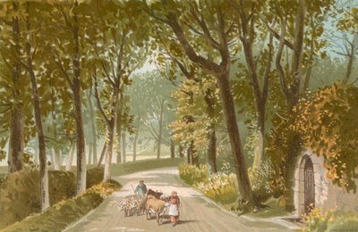 Vinchelez Lane - Jersey af English School