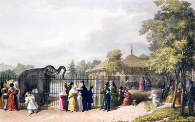 Besøgende i London Zoo, Regent