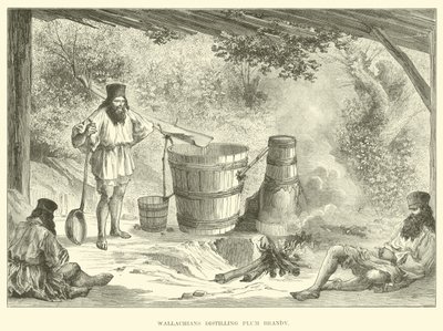 Wallacherne destillerer Plum Brandy af English School