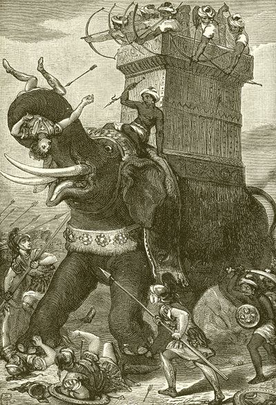 Krigselefant i kong Darius