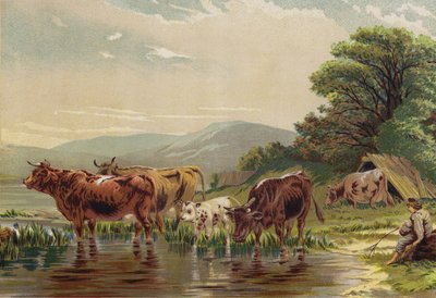 Vanding af kvæget af English School