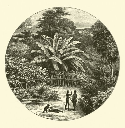 Vestafrika af English School